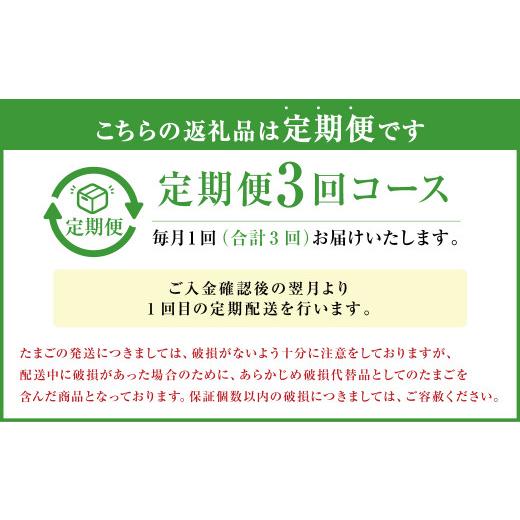 ふるさと納税 熊本県 人吉市  球磨球子 60個入 卵 たまご 鶏卵