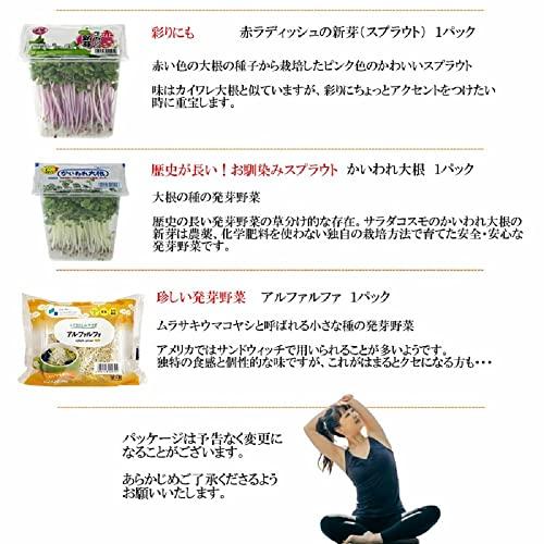 サラダコスモ 発芽野菜 おためし11品セット