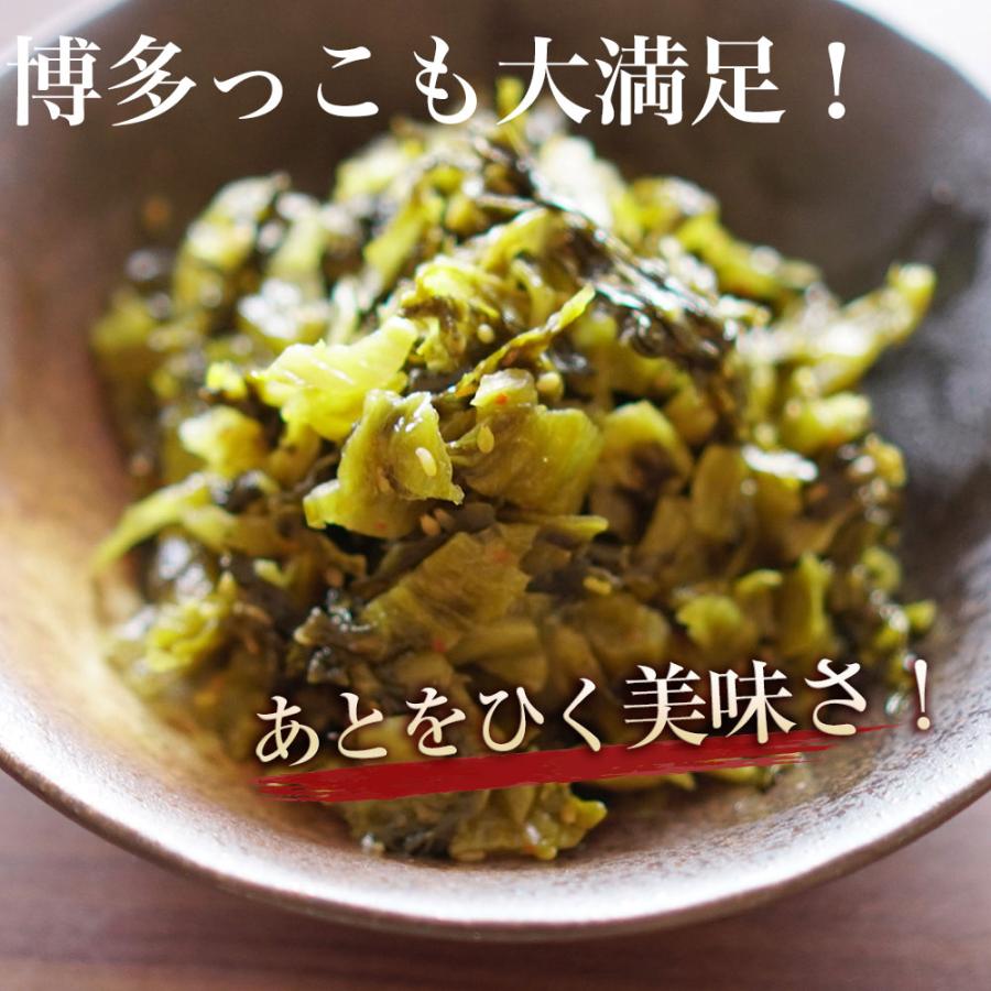 辛子高菜 120g×2袋  高菜 国産 漬物 漬け物 福岡県産 メール便