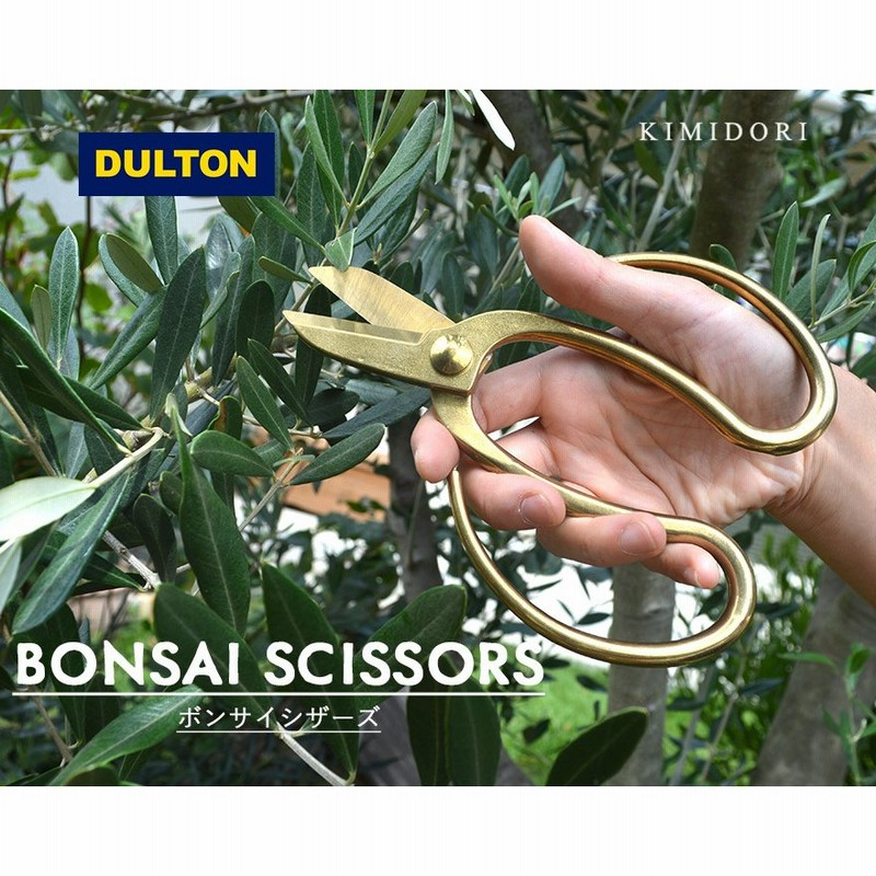 Bonsai Scissors ハサミ Dulton はさみ 剪定 道具 アンティーク かっこいい 盆栽 ボンサイシザーズ ダルトン 植木 庭木 庭 園芸 ガーデニング ギフト 通販 Lineポイント最大0 5 Get Lineショッピング