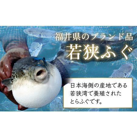 ふるさと納税   若狭ふぐ 料理 セット 2人前 [C-005002]　 福井県小浜市