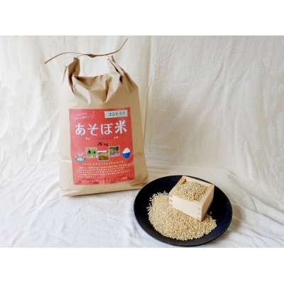 新米 あそぼ米(こしひかり)玄米 5kg