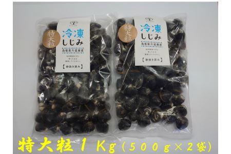 宍道湖産冷凍大和しじみ 砂抜き済 特大粒(2L以上）1㎏　23010-46