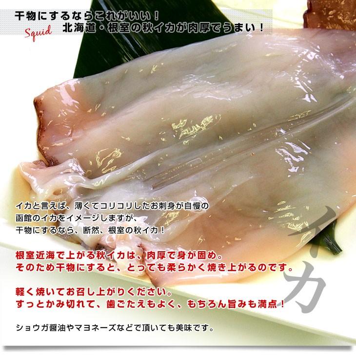 北海道産 こだわりの干物セット（4種：開き真ホッケ2枚、宗八カレイ2枚、干しコマイ8尾、開きイカ1枚）送料無料 ひものセット