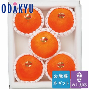 お歳暮 送料無料 2023 みかん フルーツ 愛媛県産 紅まどんな 2Lサイズ ※沖縄・離島へは届不可