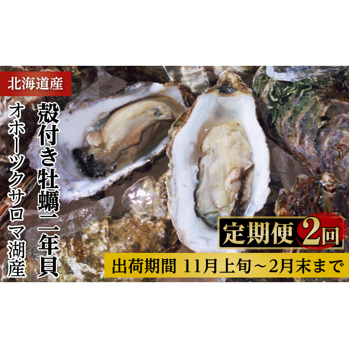 カキ 殻付き 2年貝 約3kg（30個前後） 佐呂間産 ［2回定期便］ 牡蠣 海鮮 魚介 定期便