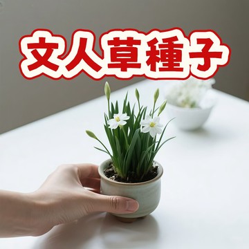【文人草籽】古典盆景種子 室內綠植 禪意盆栽 文雅案頭草 耐陰好養 自種雅趣 造景植物 綠化種子
