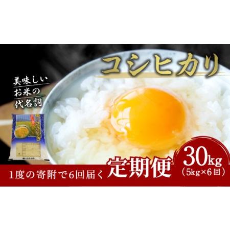 ふるさと納税 大分県産 コシヒカリ 5kg×6ヶ月 計30kg 大分県竹田市