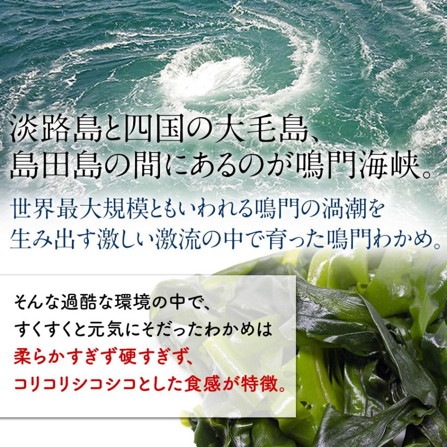 贈答用　わかめ 生わかめ 500g×6個 国産 わかめ ワカメ 生 鳴門海峡 鳴門わかめ 鳴門 徳島 塩わかめ 国産わかめ 塩蔵わかめ 塩蔵ワカメ