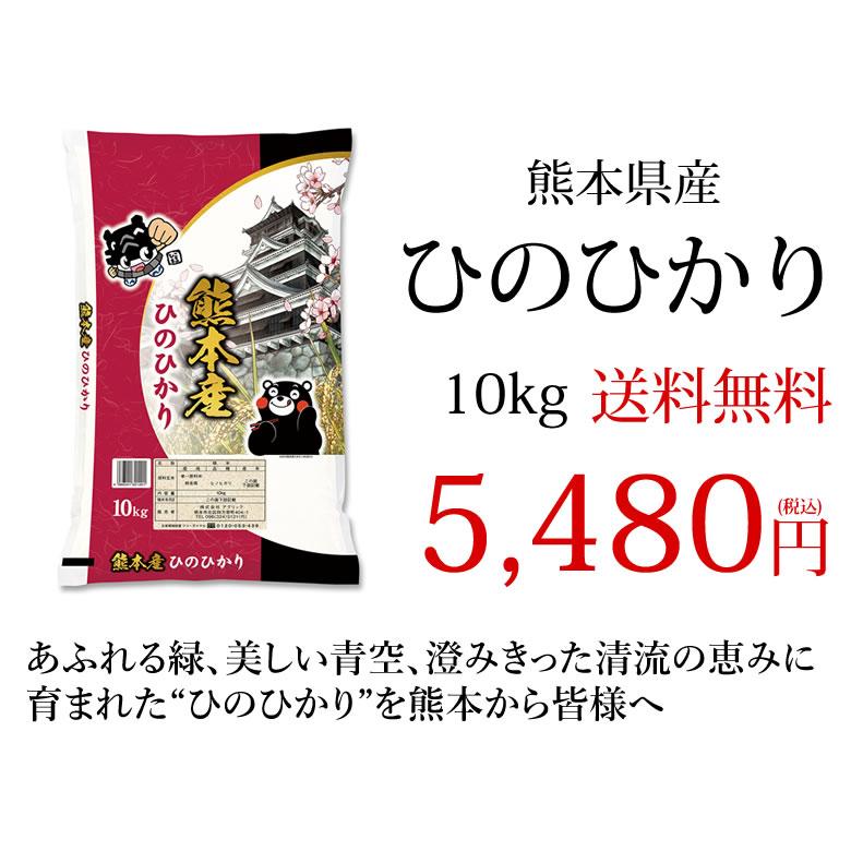 ひのひかり 米 送料無料 10kg 令和5年産 新米 熊本県産 お米 白米 玄米 コシヒカリ 森のくまさん