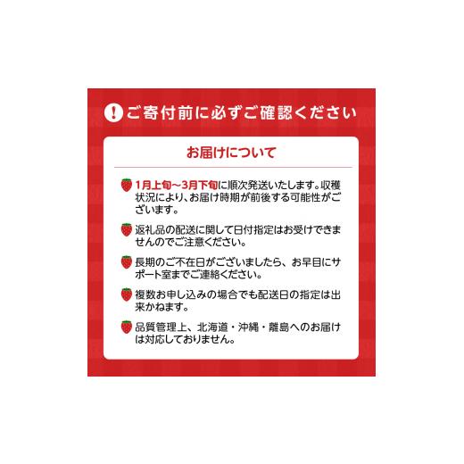 ふるさと納税 福岡県 久留米市 福岡県産 博多あまおう １kg（250ｇ×4パック）