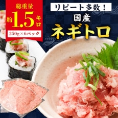 勝浦市の人気の海鮮お礼品 ネギトロ 250g×6パック(合計約1.5kg)