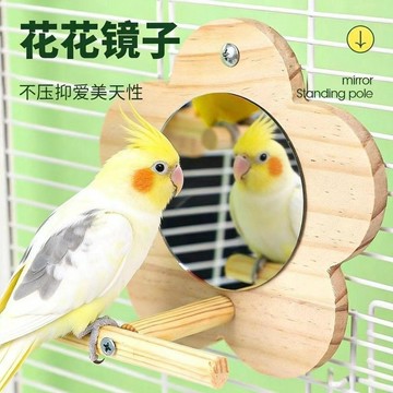 🔥臺灣熱賣⚡️鳥籠配件鸚鵡花椒木站架鏡子趣味懸掛加大號鏡子🎉