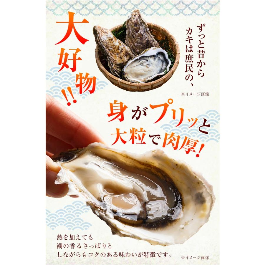 広島県産 カキフライ 500g 送料無料 1000円OFFクーポン 冷凍 牡蠣フライ 牡蠣 まとめ買い 7-14営業日以内に発送予定(土日祝日除く)