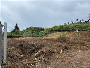 埔里中成路旁休閒農地｜南投縣埔里鎮中成路