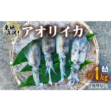 ふるさと納税 アオリイカ 約1kg 産地直送 冷凍 下処理なし イカ あおりいか いか 烏賊 水揚げ時重量約1kg 徳島県海陽町