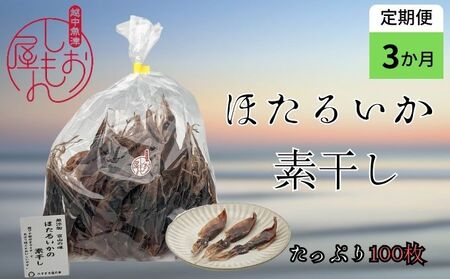 ほたるいか 素干し 100枚  おつまみ 肴 ハマオカ海の幸