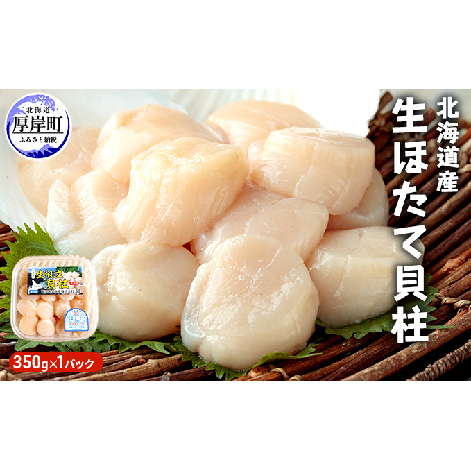 北海道産 生ほたて 貝柱 350g×1パック