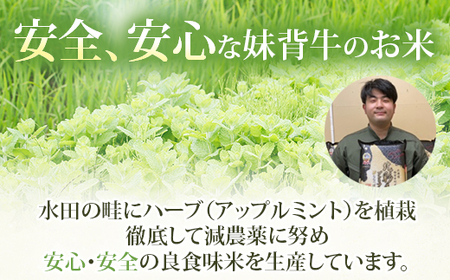 令和５年産 妹背牛産 新米 ★頂寒熟米★贈答用72個〈一括〉（1月発送）