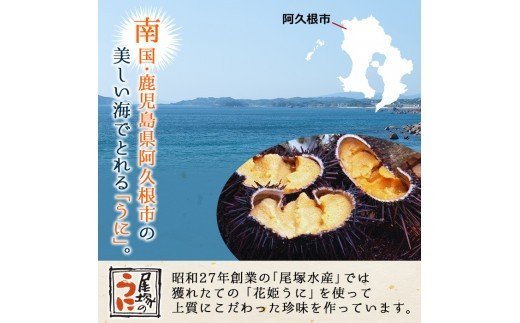 akune-5-5 ＜鹿児島県産うに使用＞濃厚なウニの瓶詰め(4種)国産 九州産 鹿児島産 ウニ うに 雲丹 海胆 水産加工品 ムラサキウニ あわび アワビ 鮑 おつまみ 5-5