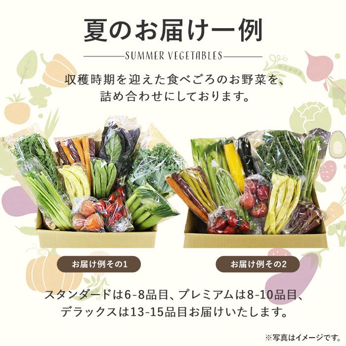 新鮮野菜 詰め合わせ 珍しい野菜 スタンダード ヨーロッパ野菜 セット お取り寄せグルメ ギフト プレゼント 食べ物