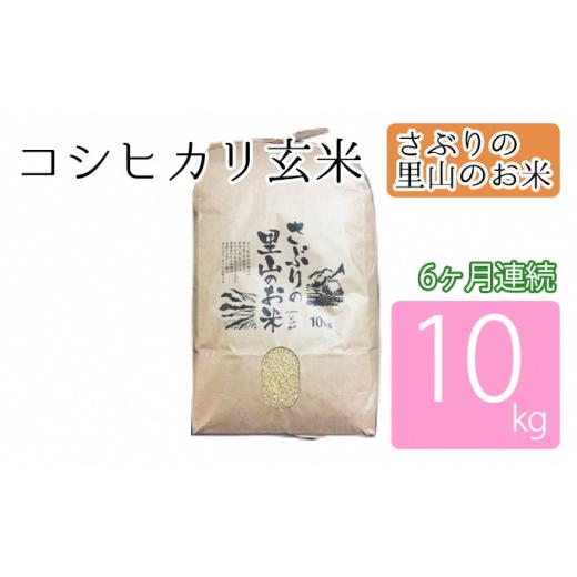 ふるさと納税 福井県 おおい町 定期便 さぶりの里山のお米　コシヒカリ玄米　10kg