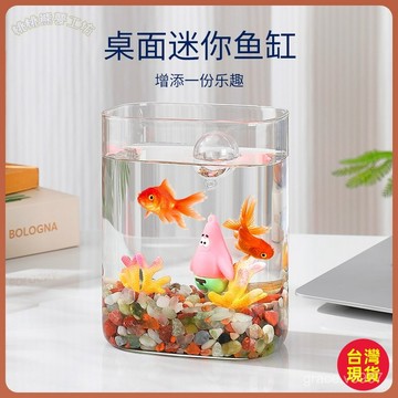 【超白玻璃缸】鬥魚專用 小魚缸 懶人魚缸 客廳創意桌面擺件 觀賞燈 魚缸燈 高級感 擺飾 小魚缸套組 桃園出貨 全台免運