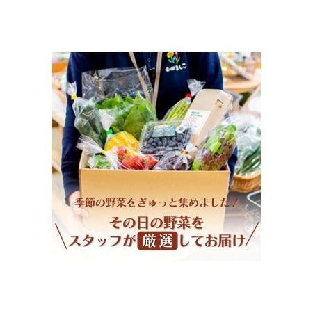 ふるさと納税 AA004 ＜12か月定期便＞旬の採れたてぜいたく野菜セット（卵付き）2人用　定期便 12カ月 野菜 やさい セット 旬 採れたて 卵 2人用.. 栃木県益子町