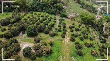 南投縣草屯富頂段含丙建景觀山坡農地（可分售)..｜南投縣草屯鎮富頂段