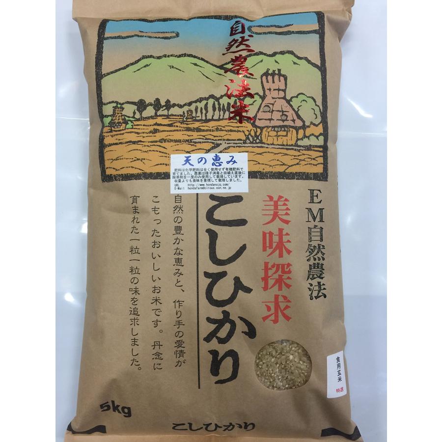 令和元年産 新米 石川県産 自然農法米 こしひかり 「天の恵み」 食用 ...