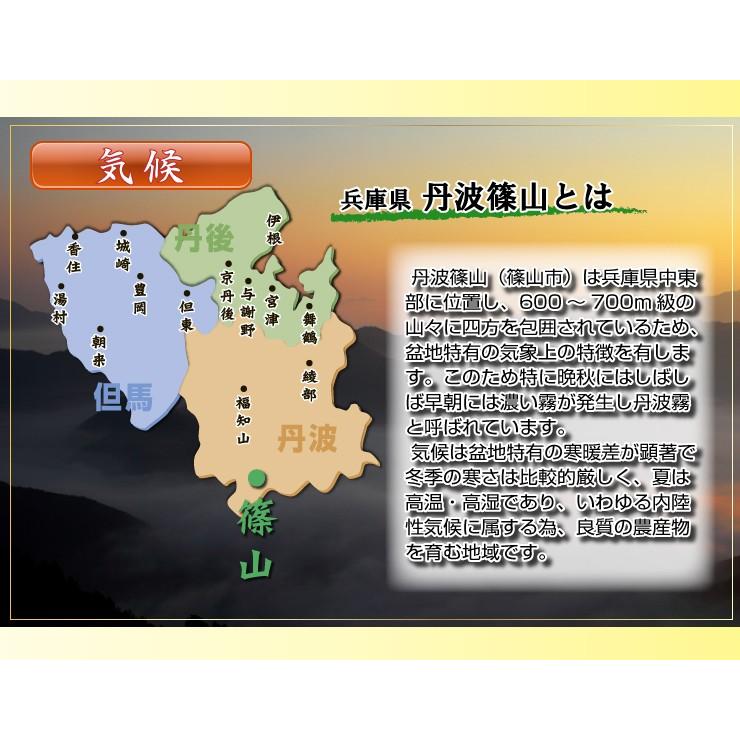 新米 お米 コシヒカリ 玄米 25kg 白米 22.5kg 特別栽培米 7.5割農薬減 兵庫県 丹波篠山産 特A 一等米 送料無料 令和5年産