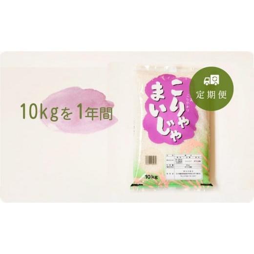 ふるさと納税 石川県 能登町 10kgが毎月1年間届く！こりゃまいじゃ精米(奥能登柳田地区限定コシヒカリ