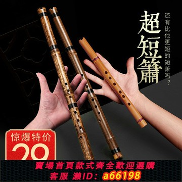 【台灣公司 可開發票】零基礎入門洞簫便攜苦竹高級短蕭迷你小笛子古風六F調初學蕭樂器