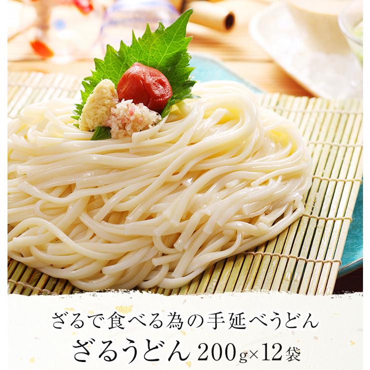 手延べざるうどん ざるで食べる為だけにつくりました！ 200g×12袋 乾麺 かも川 かも手の麺 かも手うどん ポイント消化 敬老の日 ギフト グルメ