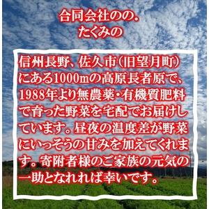 ふるさと納税 たくみのほほ笑みセット（季節の野菜おまかせ７種）＜出荷開始：2024年7月１日〜2024年 9月30日まで.. 長野県佐久市