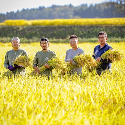 ふるさと納税 津南町 2024年1月発送開始『定期便』農家直送毎月10kg全6回