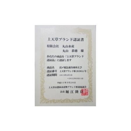 ふるさと納税 活き〆超急速冷凍車えび600g(約18〜24尾) 熊本県上天草市