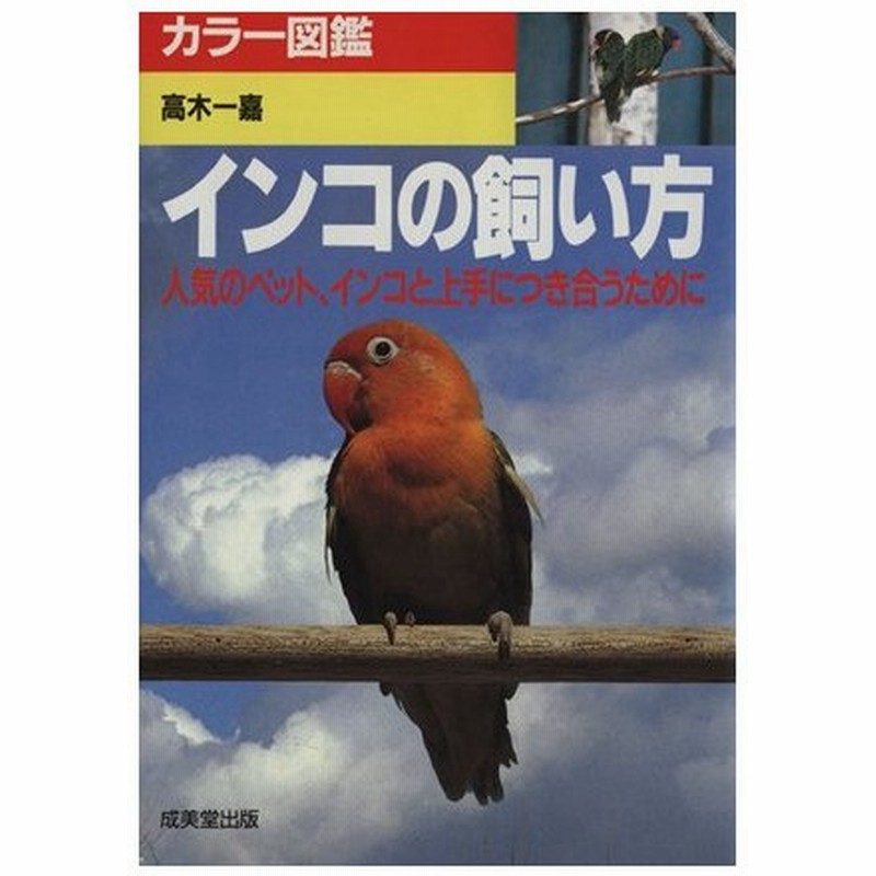 インコの飼い方 人気のペット インコと上手につき合うために カラー図鑑 高木一嘉 通販 Lineポイント最大0 5 Get Lineショッピング