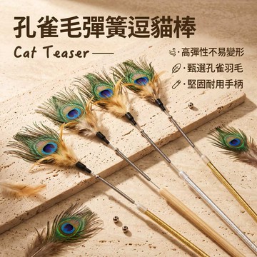 【派派寵物館】天然孔雀羽毛彈簧逗貓棒｜ 質感金手柄 貓咪互動玩具 貓咪玩具