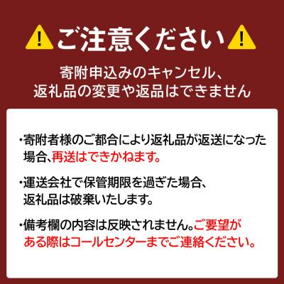 ふるさと納税 白老町 北海道産 新巻鮭 切り身 3kg 塩鮭 冷凍 〈斉藤水産〉 AM085