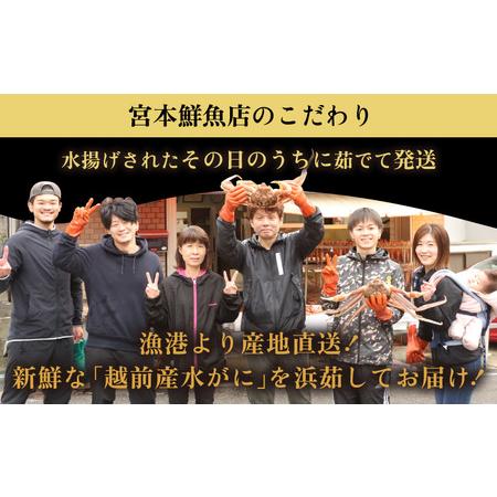 ふるさと納税 ≪浜茹で≫越前産水がに 中サイズ6肩（足のみ 2肩あたり生で300〜400g）合計900g以上 産地直送！【雄 ズ.. 福井県越前町