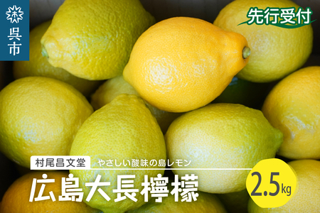 国産檸檬（レモン）発祥の地　広島大長檸檬　2.5kg