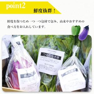 ふるさと納税 旬の京野菜 毎月お届けレギュラーコース（全12回）＆『葉酸たまご』6個入り×1パック×3回分付 ※沖縄・離.. 京都府亀岡市