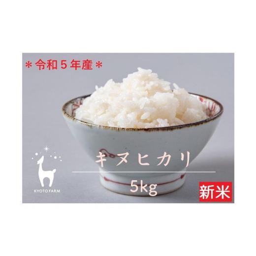 ふるさと納税 京都府 京都市 令和5年産 京都ファームのキヌヒカリ 精米５kg