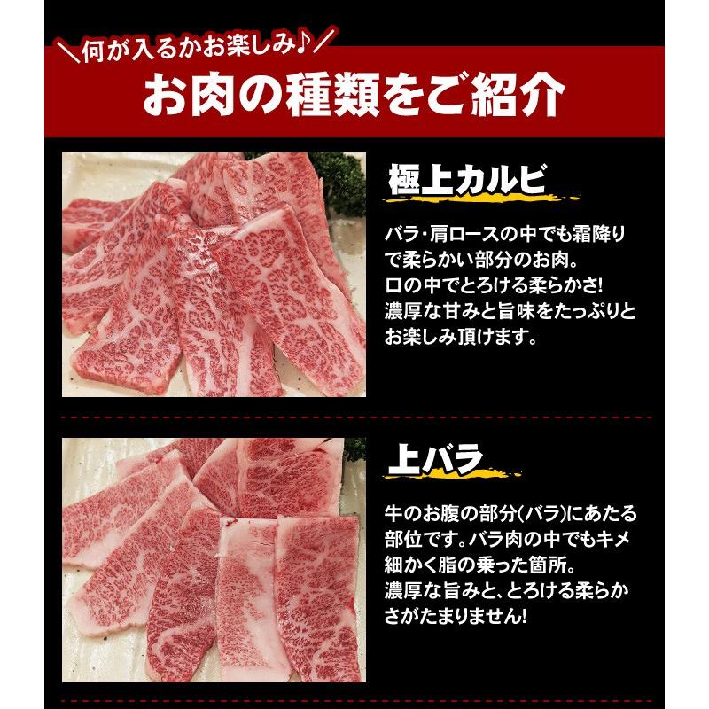 焼肉 食べ比べ 最高級 黒毛和牛 店長厳選 おまかせ焼肉セット 1kg 5種類入り バーベキュー 肉 セット 福袋 BBQ メガ盛り