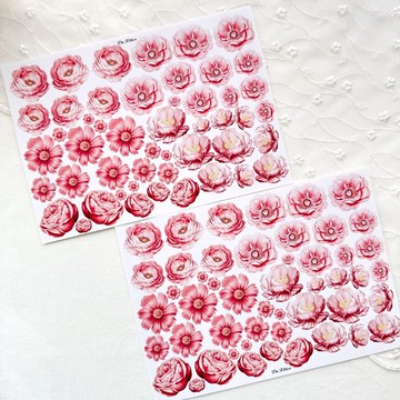 A240 Pink - 繽紛花語