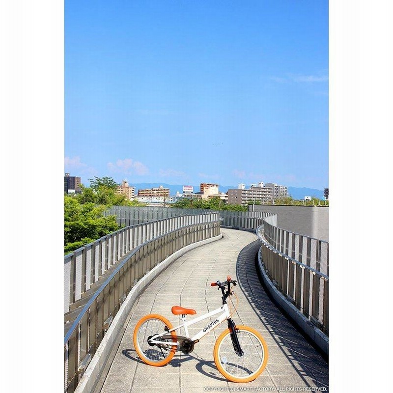 子供用自転車 20インチ BMX タイプ 4色 子供自転車 男の子 子供