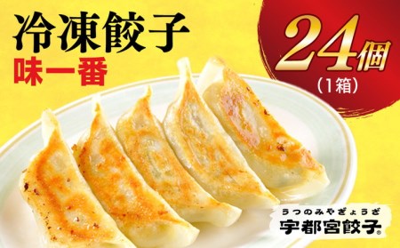 　餃子24個入り