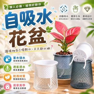 懶人花盆 🪴 水培花盆栽 自吸水花盆 盆栽容器 水耕植物 水耕盆栽 水培植物 水培花盆 水耕瓶 園藝 水耕 盆栽 水培