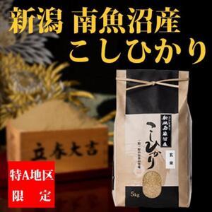 ふるさと納税 南魚沼産コシヒカリ（玄米5kg×全6回） 新潟県南魚沼市